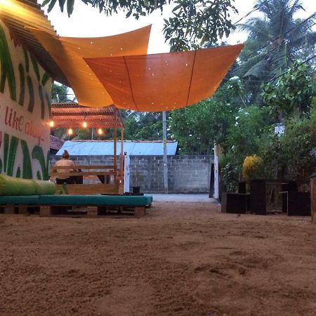 Coco Hostels - Arugambay Baie d'Arugam Extérieur photo