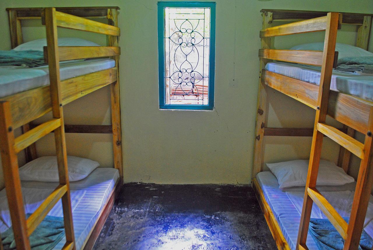 Coco Hostels - Arugambay Baie d'Arugam Extérieur photo